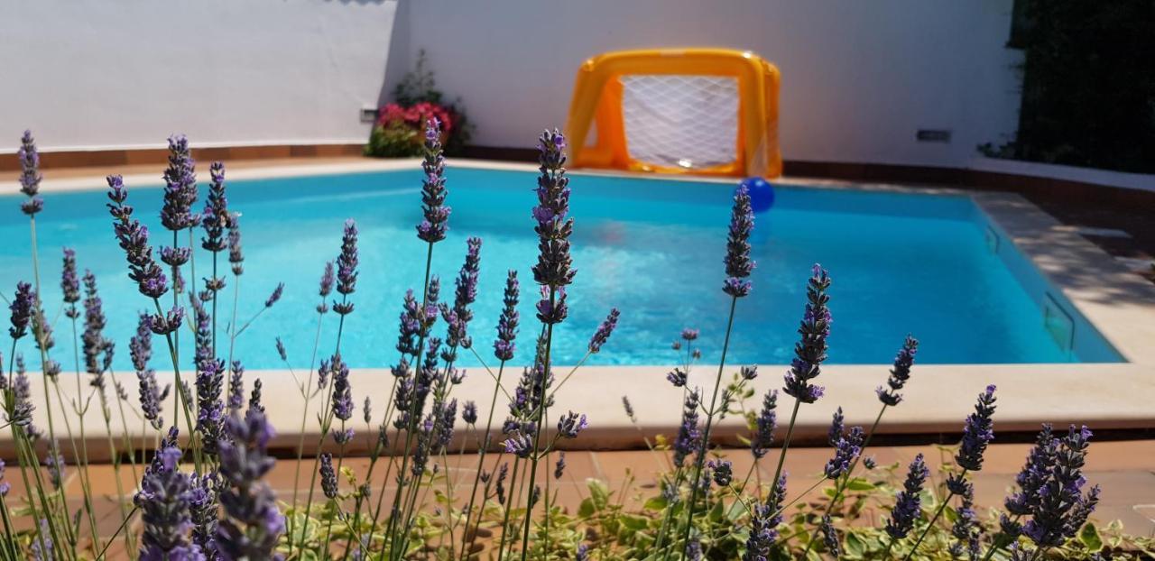 Guest House Bizjak Винкуран Екстериор снимка
