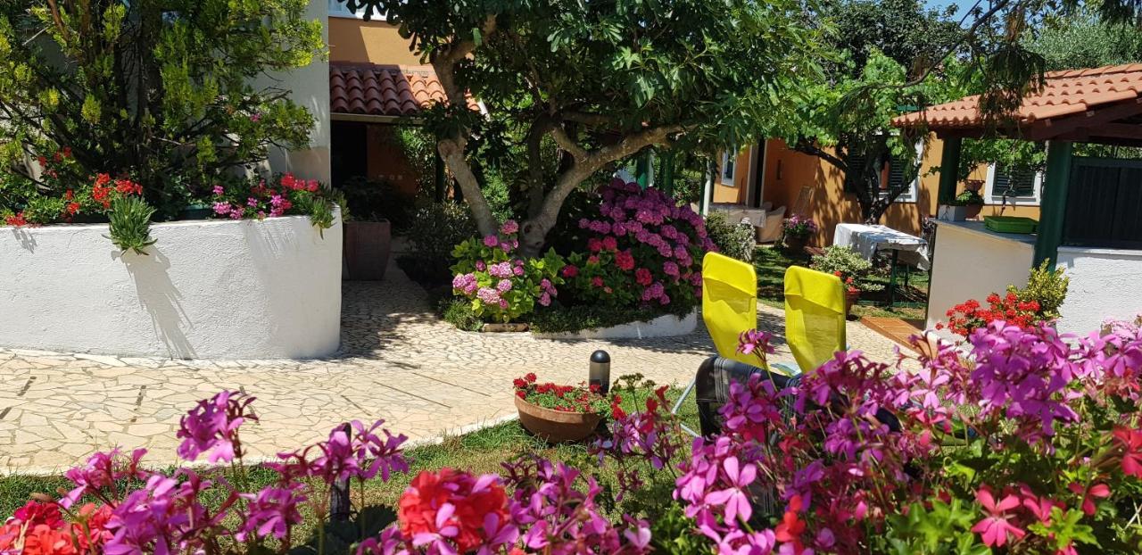 Guest House Bizjak Винкуран Екстериор снимка