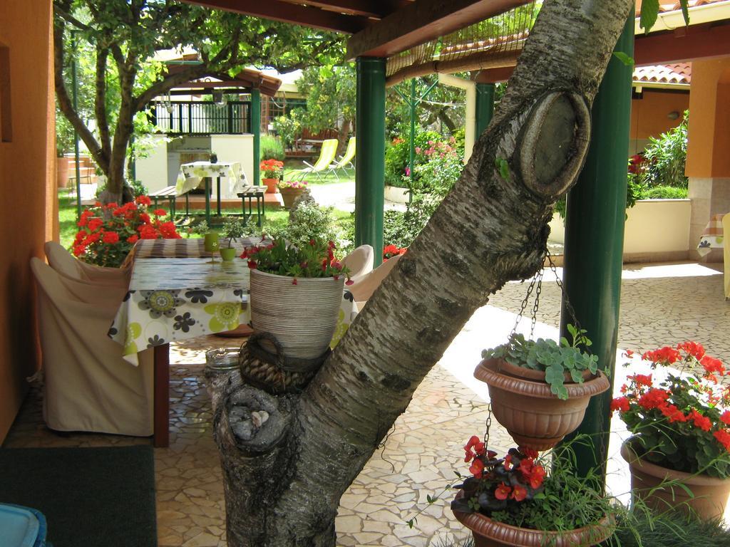 Guest House Bizjak Винкуран Екстериор снимка